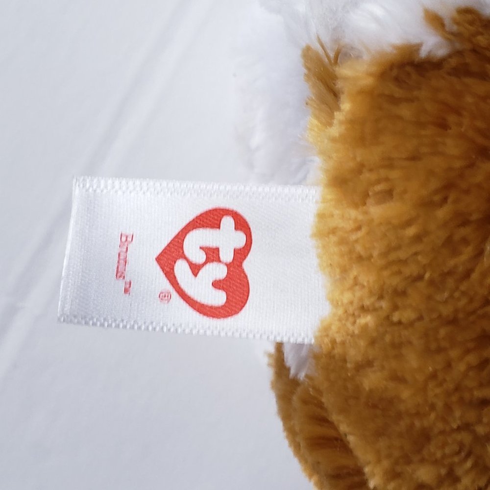Ty Beanie Boo Brutus the Boxer - Picture 4 of 9